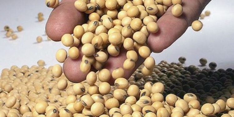 +Industrias | Más Industrias