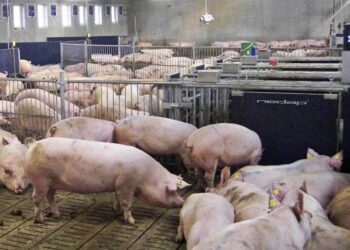 +info24 | +industrias