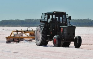 Producción de sal Dos Anclas en La Pampa