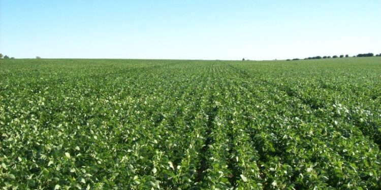 +info24 | Más Info 24