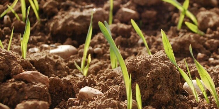 +info24 | Más Info 24