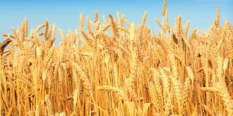 Revista Más Industrias | +Industrias