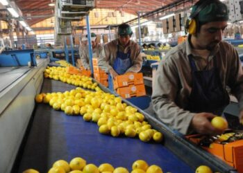 +info24 | Más Info 24 +Industrias | Más Industrias