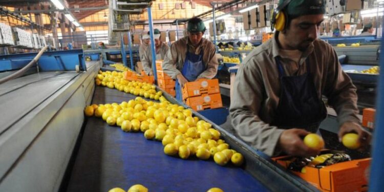 +info24 | Más Info 24 +Industrias | Más Industrias