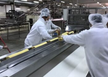 +Industrias | Más Industrias