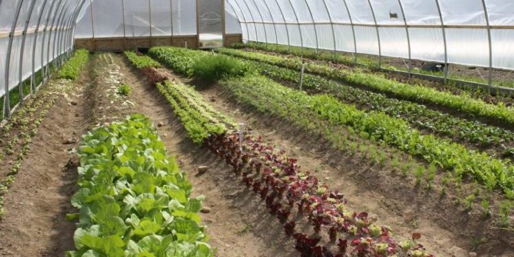 +Industrias | Más Industrias