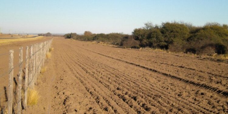 +Industrias | Más Industrias