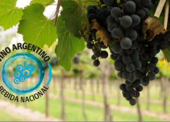 +Industrias | Más Industrias