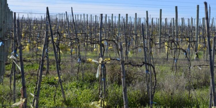 +Industrias | Más Industrias