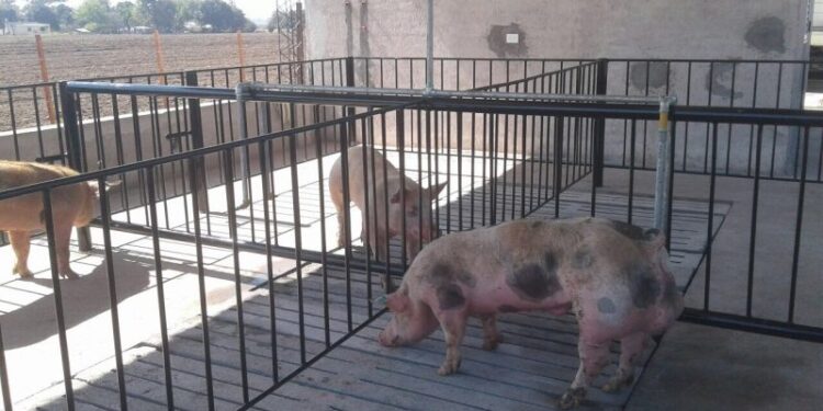 +Industrias | Más Industrias