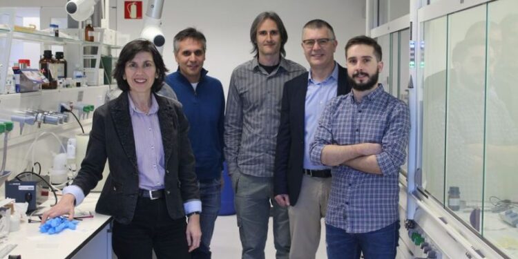 +Industrias | Más Industrias