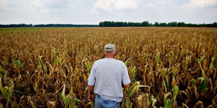 +Industrias | Más Industrias