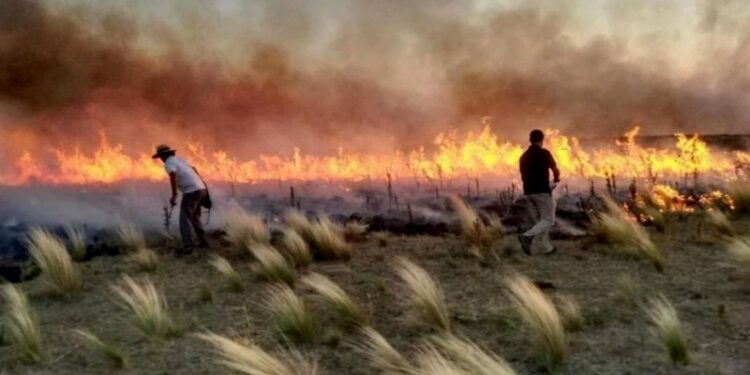 +Industrias | Más Industrias