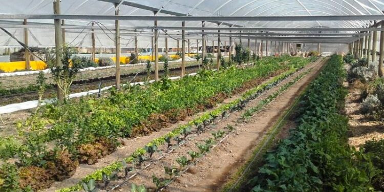 +Industrias | Más Industrias