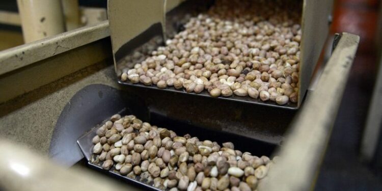 +Industrias | Más Industrias