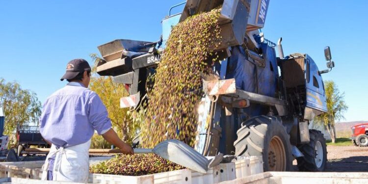 +Industrias | Más Industrias