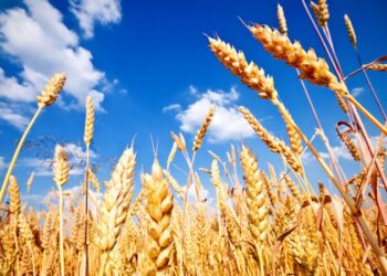 +Industrias | Más Industrias