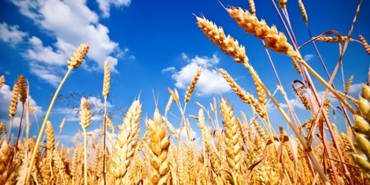 +Industrias | Más Industrias