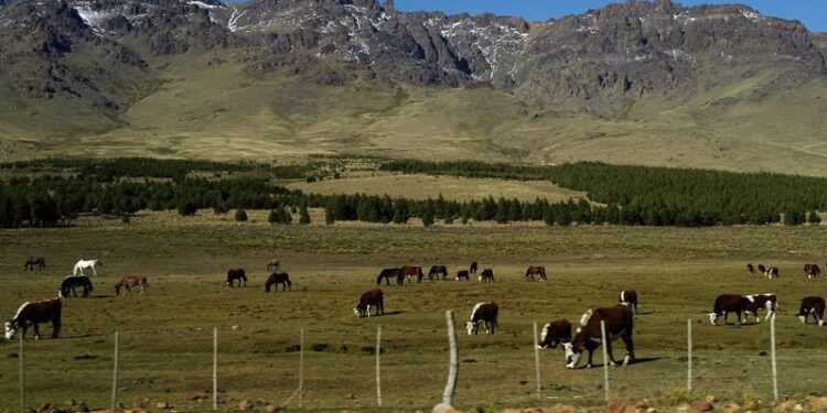 Más Industrias | +Industrias