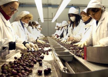 Más Industrias | +Industrias