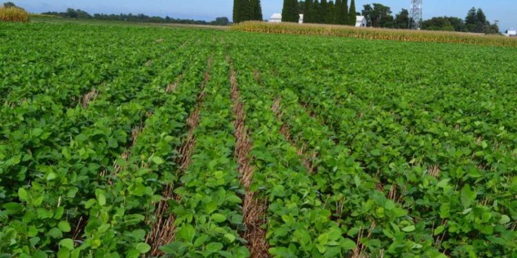 Más Industrias | +Industrias