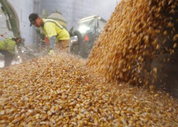 Más Industrias | +Industrias