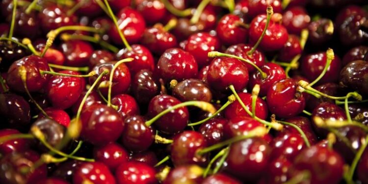 Más Industrias | +Industrias