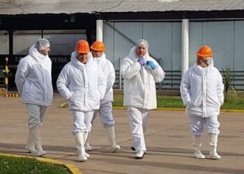 Más Industrias | +Industrias