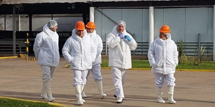 Más Industrias | +Industrias