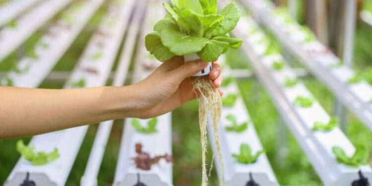 +Industrias | Más Industrias