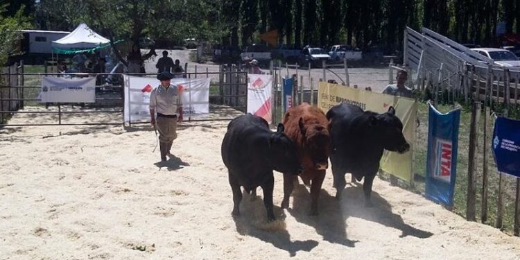 +Industrias | Más Industrias