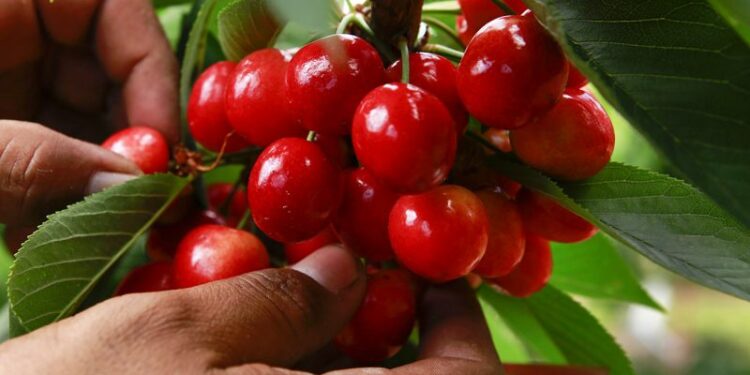 +Industrias | Más Industrias