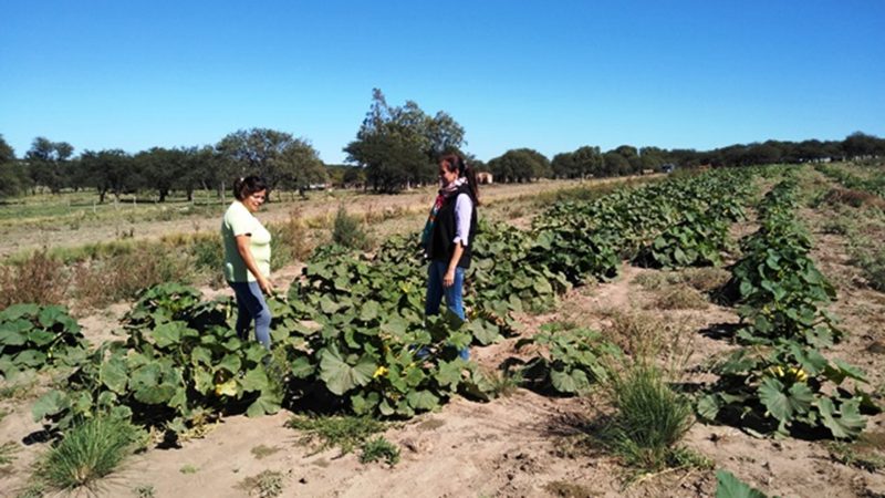 Buscan el crecimiento de la producción hortícola en La Pampa