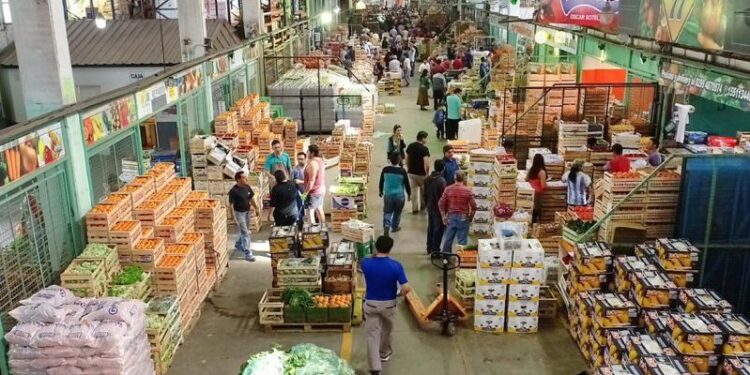 Neuquen. Mercaddo Concentrador.
