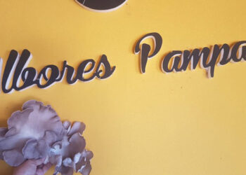 girgolas albores pampas