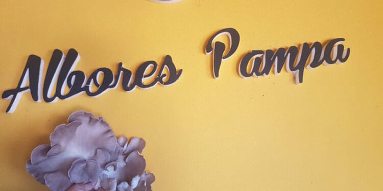 girgolas albores pampas