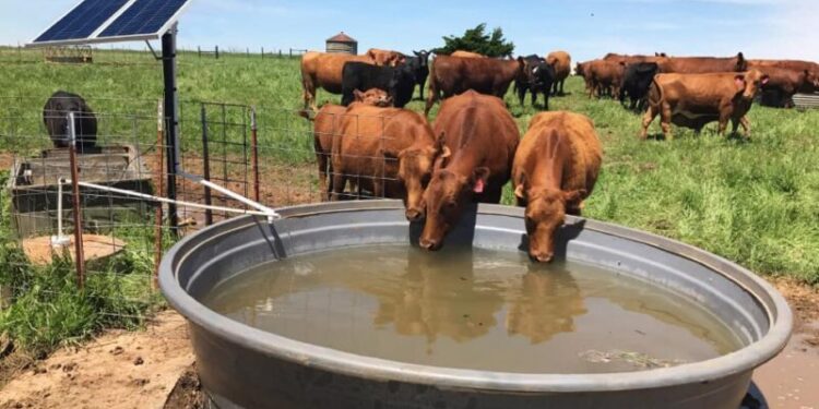Rener Energía Renovable para el Agro