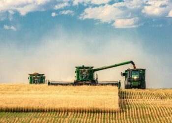 Agro pampeano: cepo al dólar y recuperación del sector