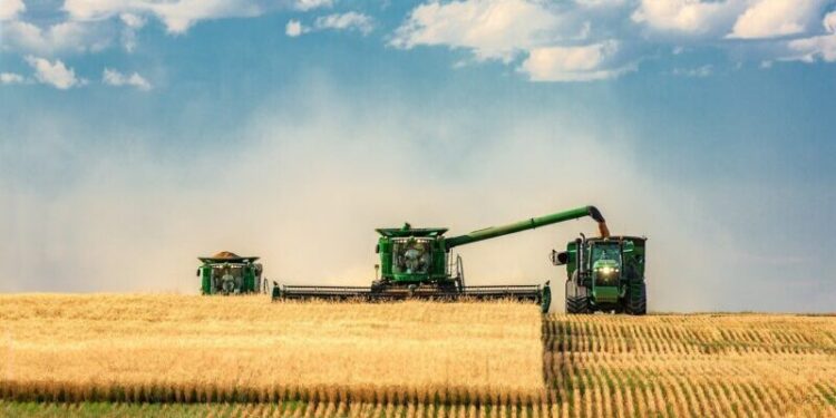 Agro pampeano: cepo al dólar y recuperación del sector