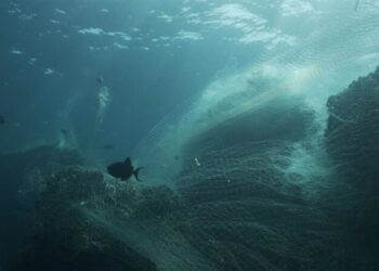 Samsung reutiliza el plástico de las redes de pesca abandonadas en sus nuevos dispositivos Galaxy