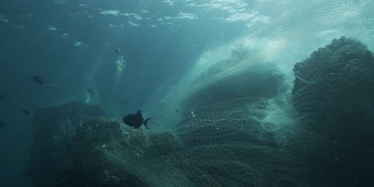 Samsung reutiliza el plástico de las redes de pesca abandonadas en sus nuevos dispositivos Galaxy