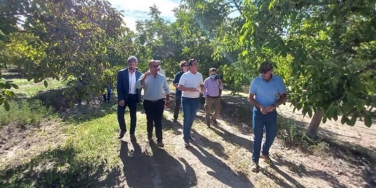 Grupo inversor agrícola visitó la zona de 25 de Mayo y Casa de Piedra