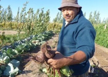 La Municipalidad de Puelches puso en marcha una huerta municipal