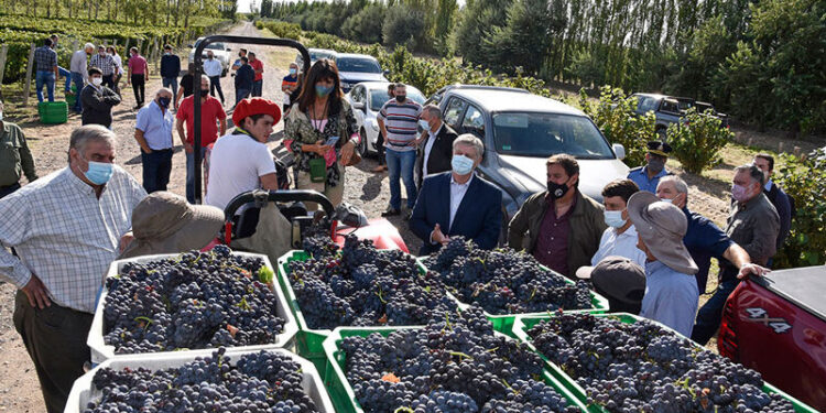 Postergaron la licitación para construir una bodega provincial en Casa de Piedra