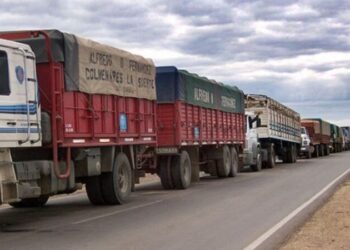 Transporte de cargas: Aumento de precio y la falta de combustible preocupa al sector
