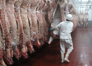 Exportación de carne kosher a Israel