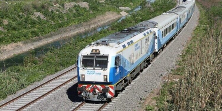 Crean biocorredores en espacios ferroviarios para reducir la pérdida de biodiversidad