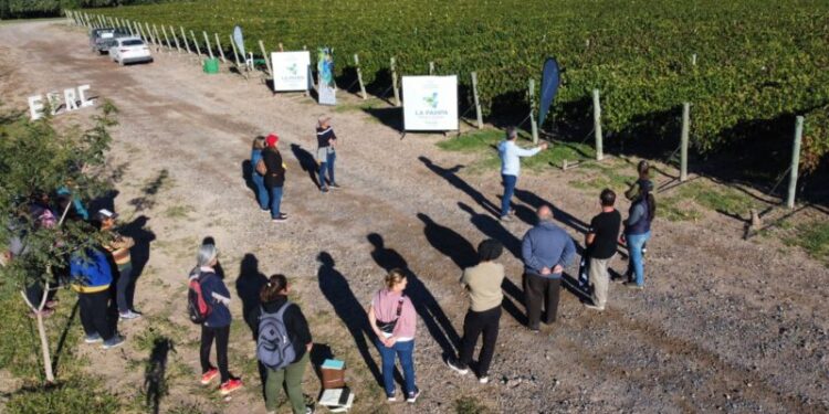 Entrevista a la ministra de producción sobre PYMES en La Pampa