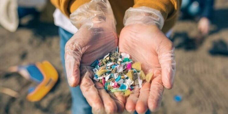 Invasión de microplásticos plástico en el cuerpo humano, en el agua, el aire y en la comida