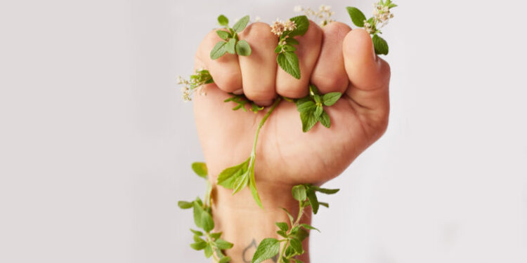 Fondos de inversión sustentables de Loreal